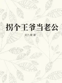 拐个王爷当老公