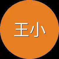 王小宇所