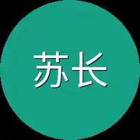 苏长空见