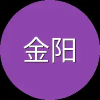 金阳派