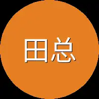 田总