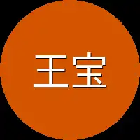 王宝宝