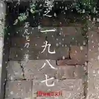 毛震阳